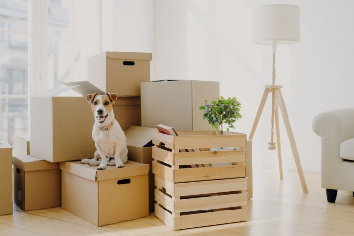 7 Expert Tips for a Smooth and Stress-Free Move: How to Save Your Nerves and Money When Moving to a New City